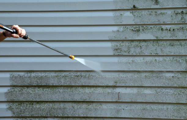Best Residential Pressure Washing in Columbia, MS